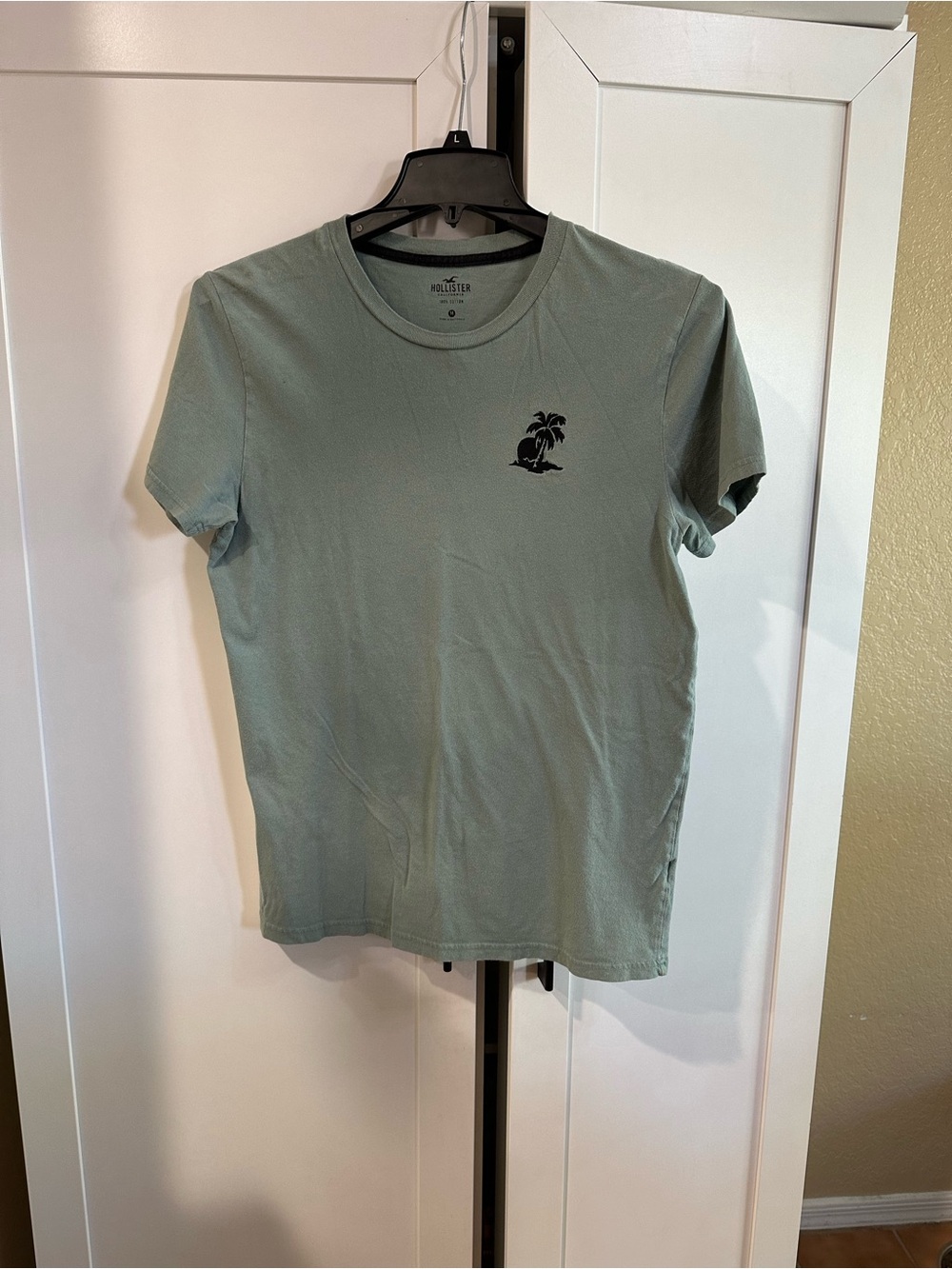 Hollister Men’s Sage Green Graphic Crew Neck T-Shirt